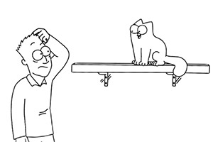 Simon's Cat - DIY