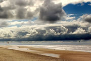 Beachcomber... By The Way. Beachcomber... By The Way.