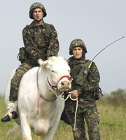 Gary: Tank Commander. Image shows from L to R: Jacko (Robert Jack), Adam (Paul-James Corrigan). Copyright: The Comedy Unit. Gary: Tank Commander. Image shows from L to R: Jacko (Robert Jack), Adam (Paul-James Corrigan). Copyright: The Comedy Unit.