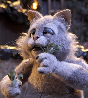 Mongrels. Marion. Copyright: BBC. Mongrels. Marion. Copyright: BBC.
