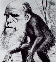 Charles Darwin as an ape. Charles Darwin as an ape.