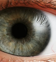 An eye. An eye.