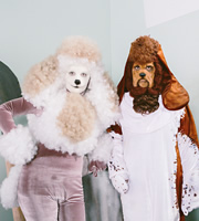 Watson & Oliver. Image shows from L to R: Lorna Watson, Ingrid Oliver. Copyright: BBC / Popper Pictures. Watson & Oliver. Image shows from L to R: Lorna Watson, Ingrid Oliver. Copyright: BBC / Popper Pictures.