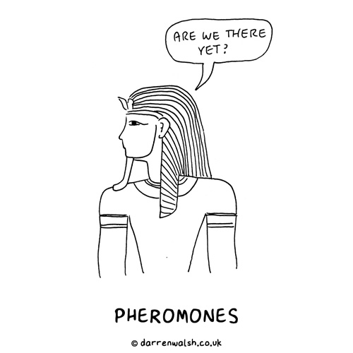 Pheromones. Pheromones.