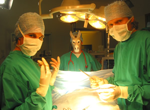Green Wing. Image shows from L to R: Caroline Todd (Tamsin Greig), Guy Secretan (Stephen Mangan), Mac Macartney (Julian Rhind-Tutt). Copyright: Talkback Productions. Green Wing. Image shows from L to R: Caroline Todd (Tamsin Greig), Guy Secretan (Stephen Mangan), Mac Macartney (Julian Rhind-Tutt). Copyright: Talkback Productions.