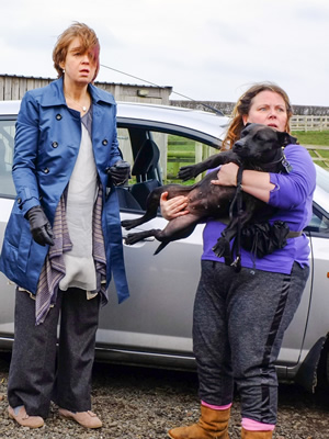 Puppy Love. Image shows from L to R: Naomi (Vicki Pepperdine), Nana V (Joanna Scanlan). Copyright: BBC / Woof Productions. Puppy Love. Image shows from L to R: Naomi (Vicki Pepperdine), Nana V (Joanna Scanlan). Copyright: BBC / Woof Productions.
