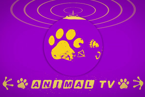 Animal TV. Animal TV.