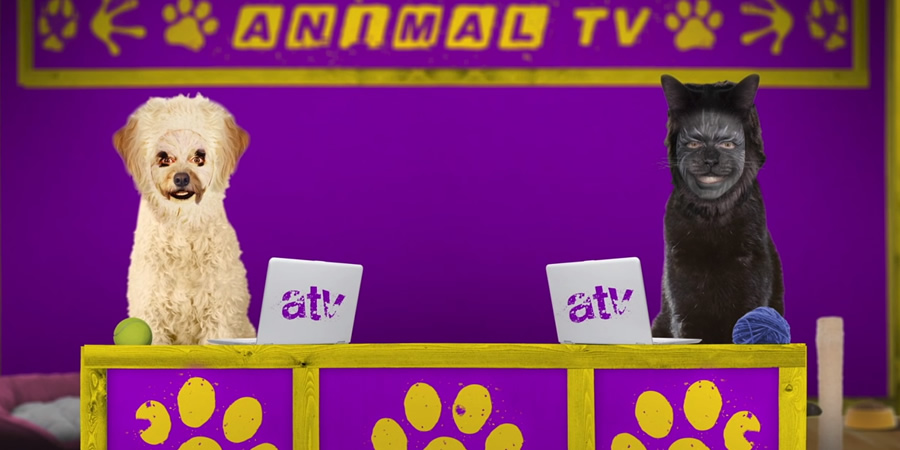 Animal TV. Image shows from L to R: Dorothy Eatbins (Lorna Watson), Simon Trumper (Tom Price). Animal TV. Image shows from L to R: Dorothy Eatbins (Lorna Watson), Simon Trumper (Tom Price).