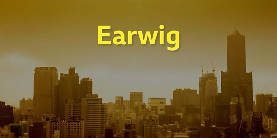 Earwig. Earwig.