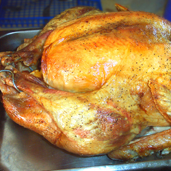 Three Men Roast - Free. Three Men Roast - Free.