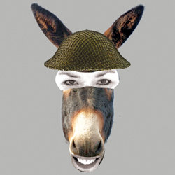Bridget Christie: War Donkey. Bridget Christie: War Donkey.