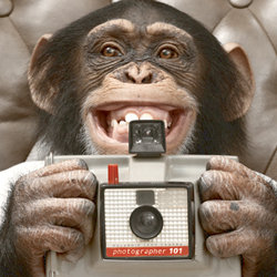 Ian Fox - Shutter Monkey (The Comedy Show With Pictures) - Free. Copyright: Associated-Rediffusion Television. Ian Fox - Shutter Monkey (The Comedy Show With Pictures) - Free. Copyright: Associated-Rediffusion Television.