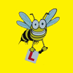 The Newbest of the Newbees. The Newbest of the Newbees.