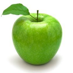 Adam and Eve: The Musical. Adam and Eve: The Musical.