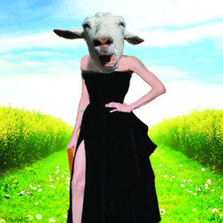 Angelina Jolie Touched My Neighbour's Goat. Copyright: BBC. Angelina Jolie Touched My Neighbour's Goat. Copyright: BBC.