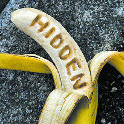 Hidden. Copyright: Hat Trick Productions. Hidden. Copyright: Hat Trick Productions.