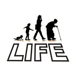 Life. Copyright: BBC. Life. Copyright: BBC.