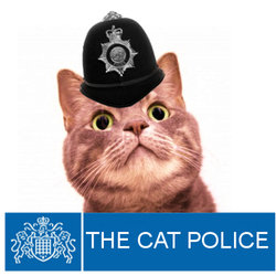 The Cat Police. Copyright: Carlton Television. The Cat Police. Copyright: Carlton Television.