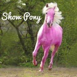 Show Pony. Copyright: Open Mike Productions. Show Pony. Copyright: Open Mike Productions.