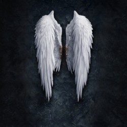 Angel in the Abattoir. Angel in the Abattoir.