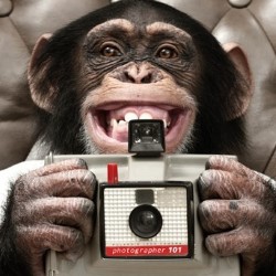 Ian Fox - Shutter Monkey (A Comedy Show With Pictures) - Free. Ian Fox - Shutter Monkey (A Comedy Show With Pictures) - Free.