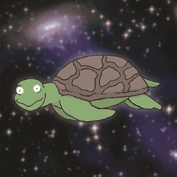 Michelle Brasier: Space Tortoise. Michelle Brasier: Space Tortoise.