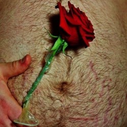 Latex and Roses. Latex and Roses.