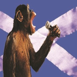 Best of Scottish Comedian of the Year. Best of Scottish Comedian of the Year.