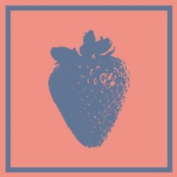 Strawberries in January. Strawberries in January.