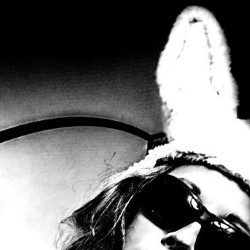 The Year of The Hare. The Year of The Hare.