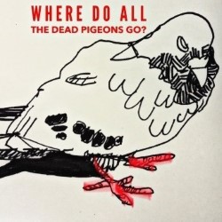 Where Do All the Dead Pigeons Go?. Where Do All the Dead Pigeons Go?.