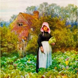 Lucy Pearman: Maid of Cabbage. Lucy Pearman: Maid of Cabbage.