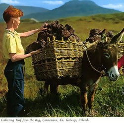 I Want an Irish Passport. I Want an Irish Passport.