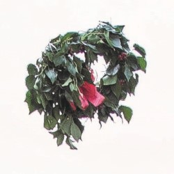Simon Munnery: The Wreath. Simon Munnery: The Wreath.