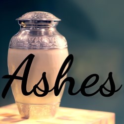 Ashes. Ashes.