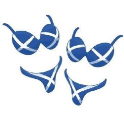 EdinBra Fringe Comedy. EdinBra Fringe Comedy.