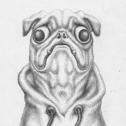 Lydia Hirst: I'll Be Your Dog. Lydia Hirst: I'll Be Your Dog.