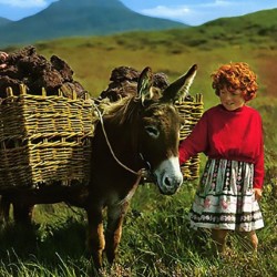 I Want an Irish Passport. I Want an Irish Passport.