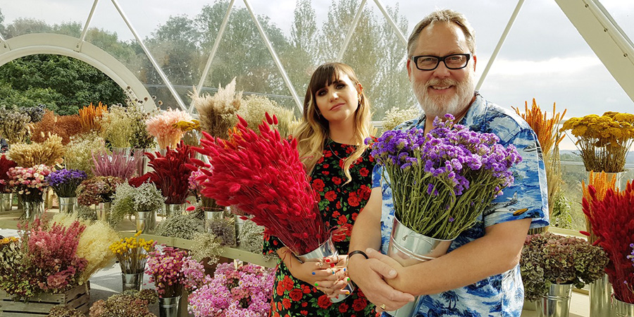 The Big Flower Fight. Image shows from L to R: Natasia Demetriou, Vic Reeves. The Big Flower Fight. Image shows from L to R: Natasia Demetriou, Vic Reeves.