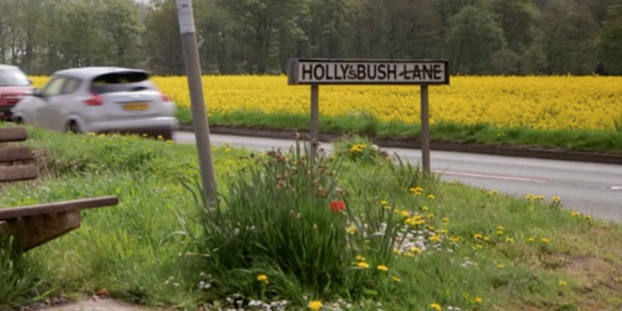 Holly's Bush. Holly's Bush.
