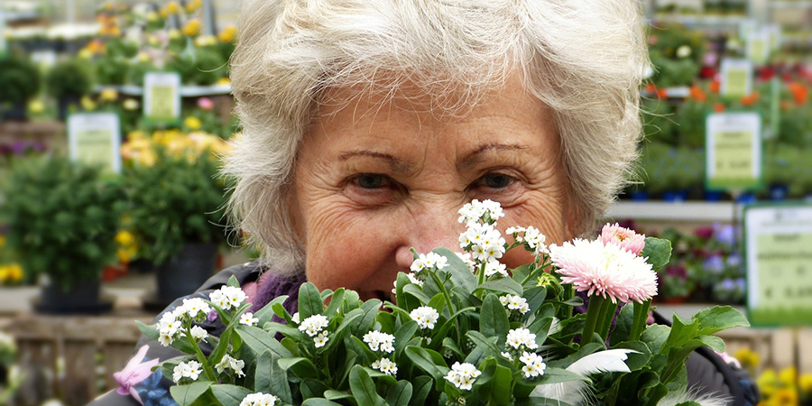 Lady with flowers. Image by silviarita from Pixabay. Lady with flowers. Image by silviarita from Pixabay.