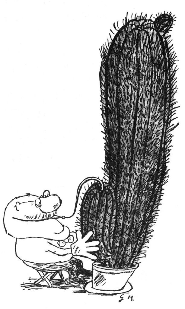 Gerard Hoffnung's cactus tuba cartoon. Copyright: Gerard Hoffnung. Gerard Hoffnung's cactus tuba cartoon. Copyright: Gerard Hoffnung.