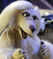Mongrels. Destiny. Copyright: BBC. Mongrels. Destiny. Copyright: BBC.