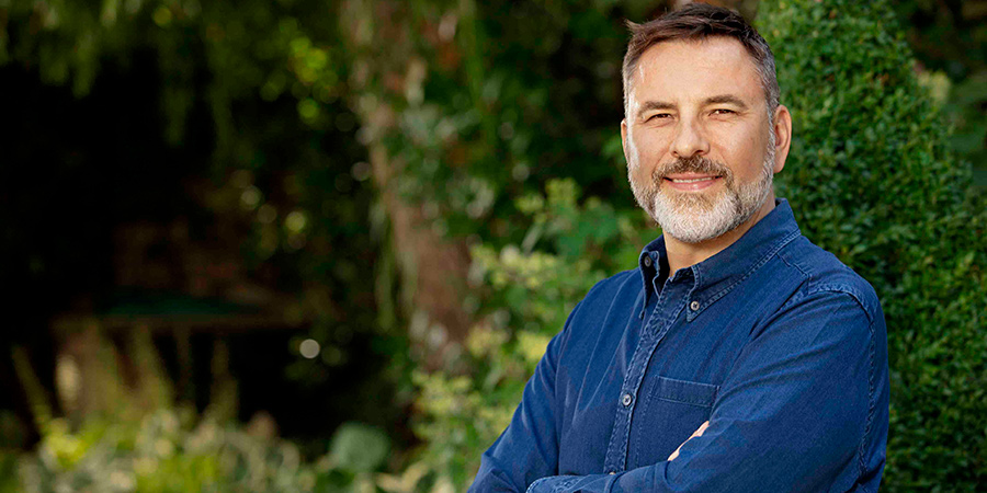 David Walliams. David Walliams.